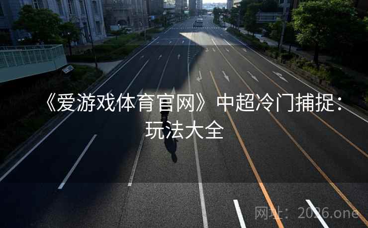 《爱游戏体育官网》中超冷门捕捉：玩法大全