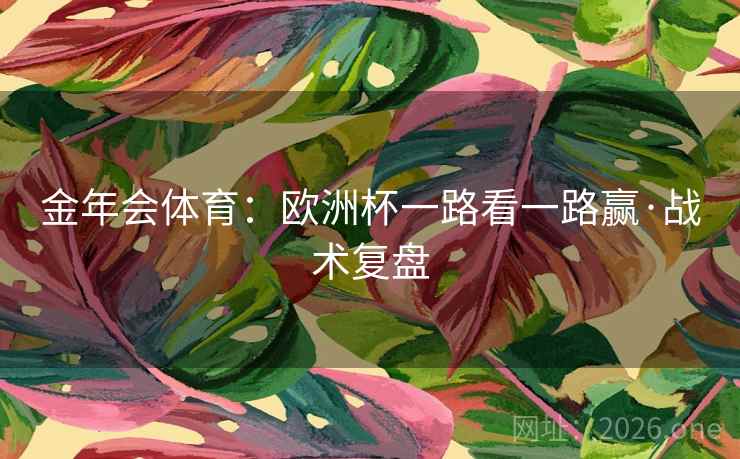 金年会体育：欧洲杯一路看一路赢·战术复盘