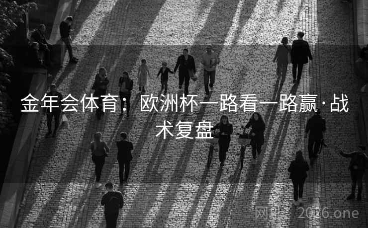 金年会体育：欧洲杯一路看一路赢·战术复盘