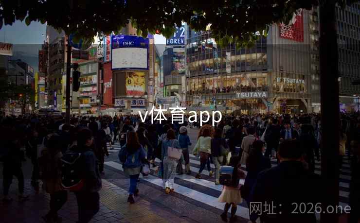 v体育app