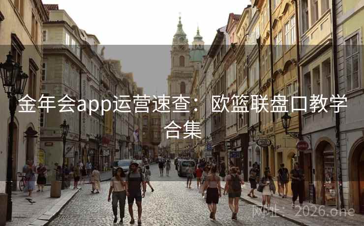 金年会app运营速查：欧篮联盘口教学合集