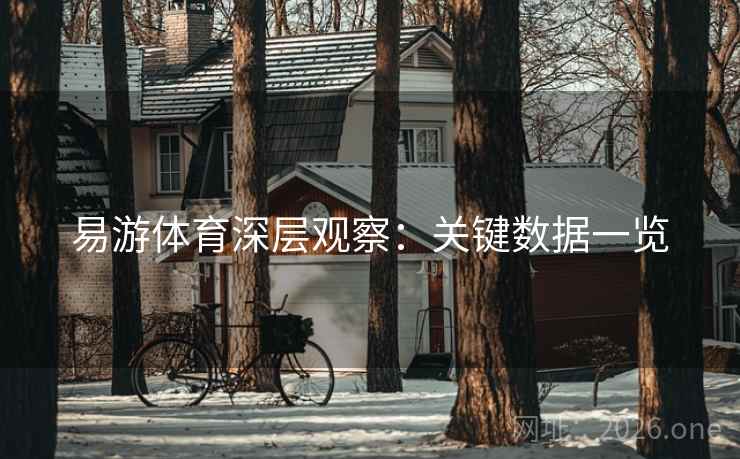 易游体育深层观察：关键数据一览