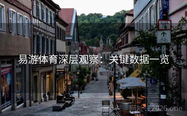 易游体育深层观察：关键数据一览
