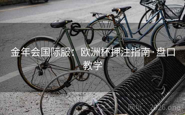 金年会国际服：欧洲杯押注指南·盘口教学
