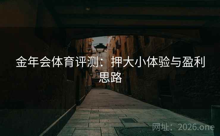 金年会体育评测：押大小体验与盈利思路