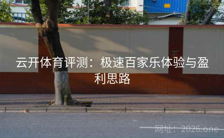 云开体育评测：极速百家乐体验与盈利思路