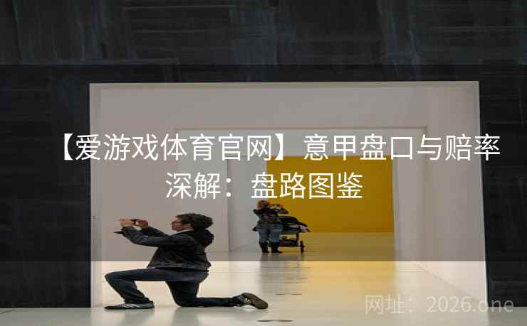 【爱游戏体育官网】意甲盘口与赔率深解：盘路图鉴