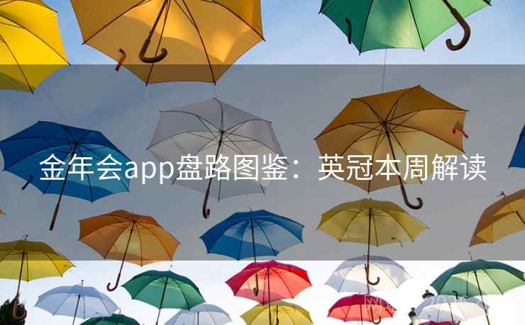 金年会app盘路图鉴：英冠本周解读