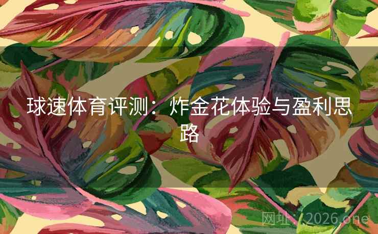球速体育评测：炸金花体验与盈利思路