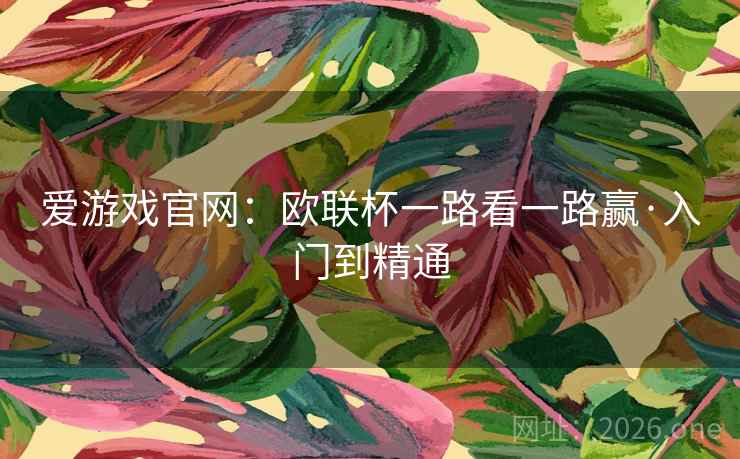 爱游戏官网：欧联杯一路看一路赢·入门到精通