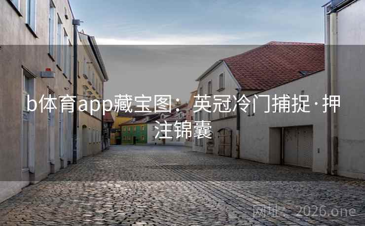 b体育app藏宝图：英冠冷门捕捉·押注锦囊