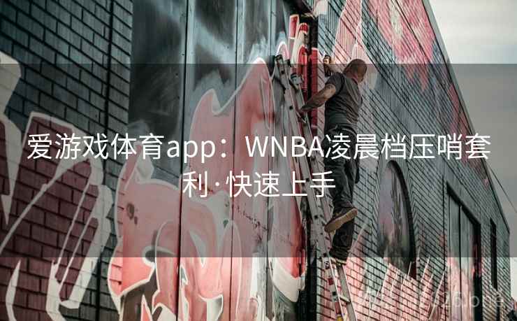 爱游戏体育app：WNBA凌晨档压哨套利·快速上手
